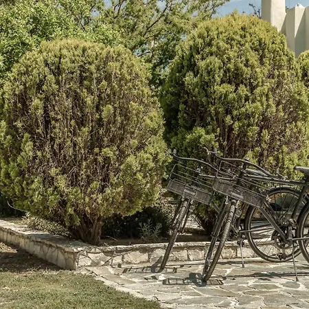 Case de vacanță Granny's *